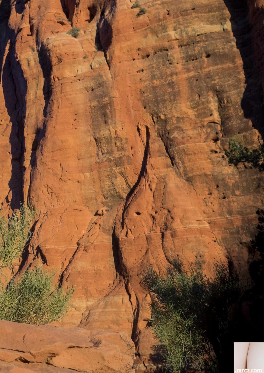 Bộ sưu tập ảnh khỏa thân kỷ niệm nghỉ hưu của Miyuki Yokoyama (55P) - Ảnh 2