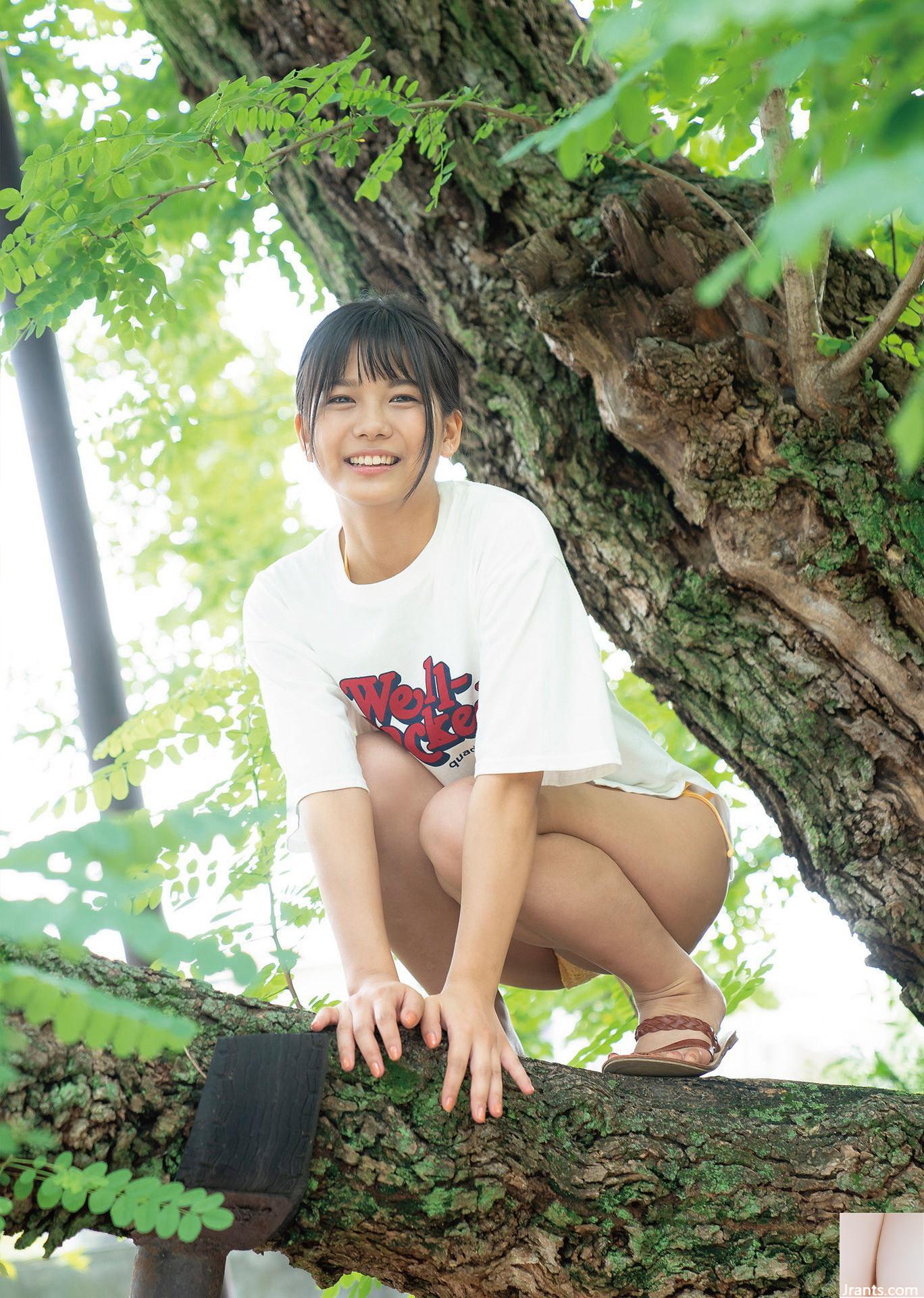 Nanami Asahi 17 “Luôn Nắng” (67P)