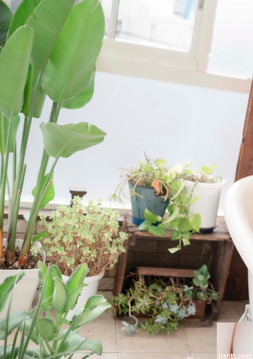 Saika Kawakita Hà Bắc Caihua Đếm cừu (Ngủ) (80P) - Ảnh 15