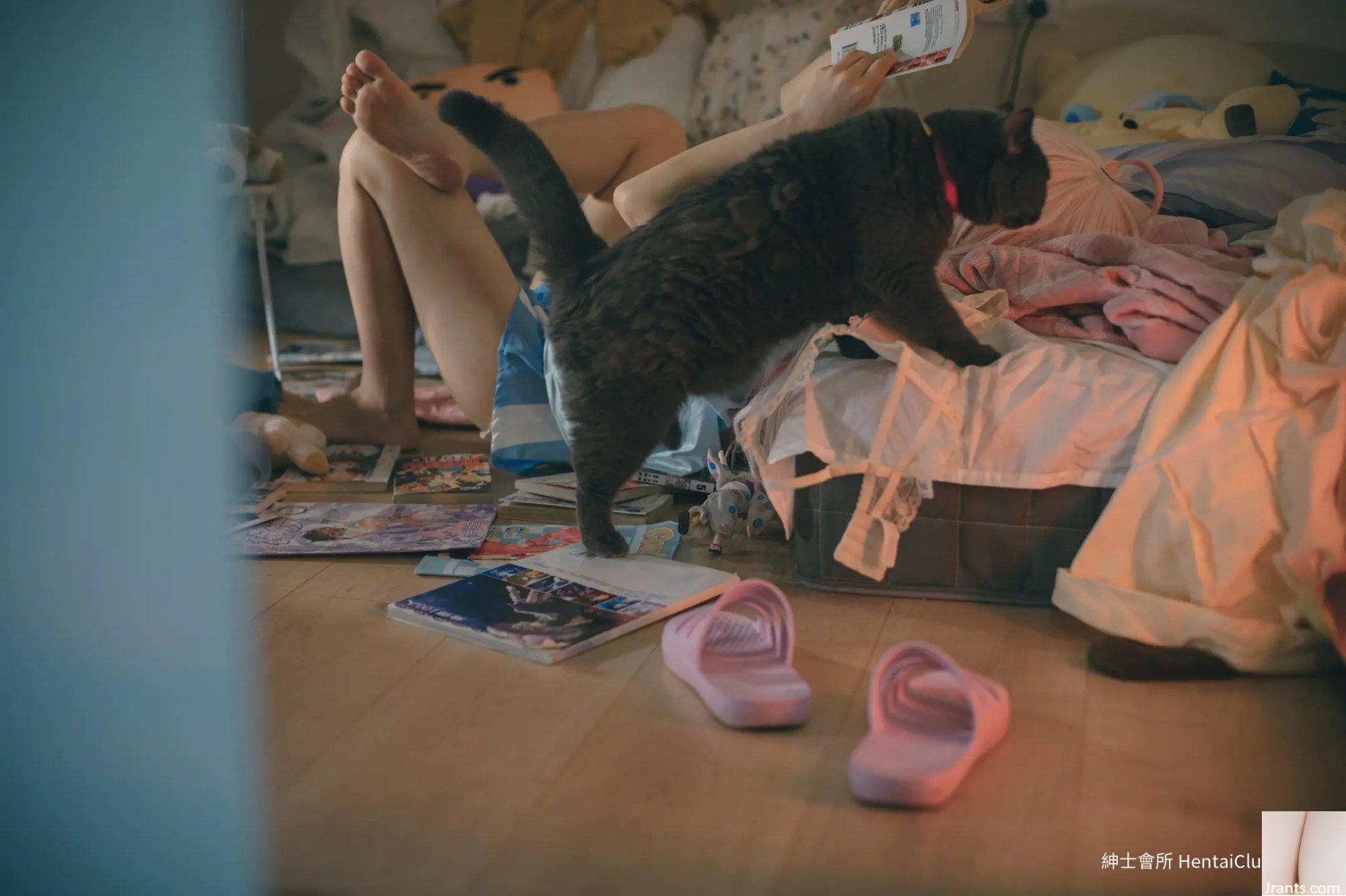 Kanzawa Nagari, đừng trở thành Oni-chan (55P - Ảnh 3