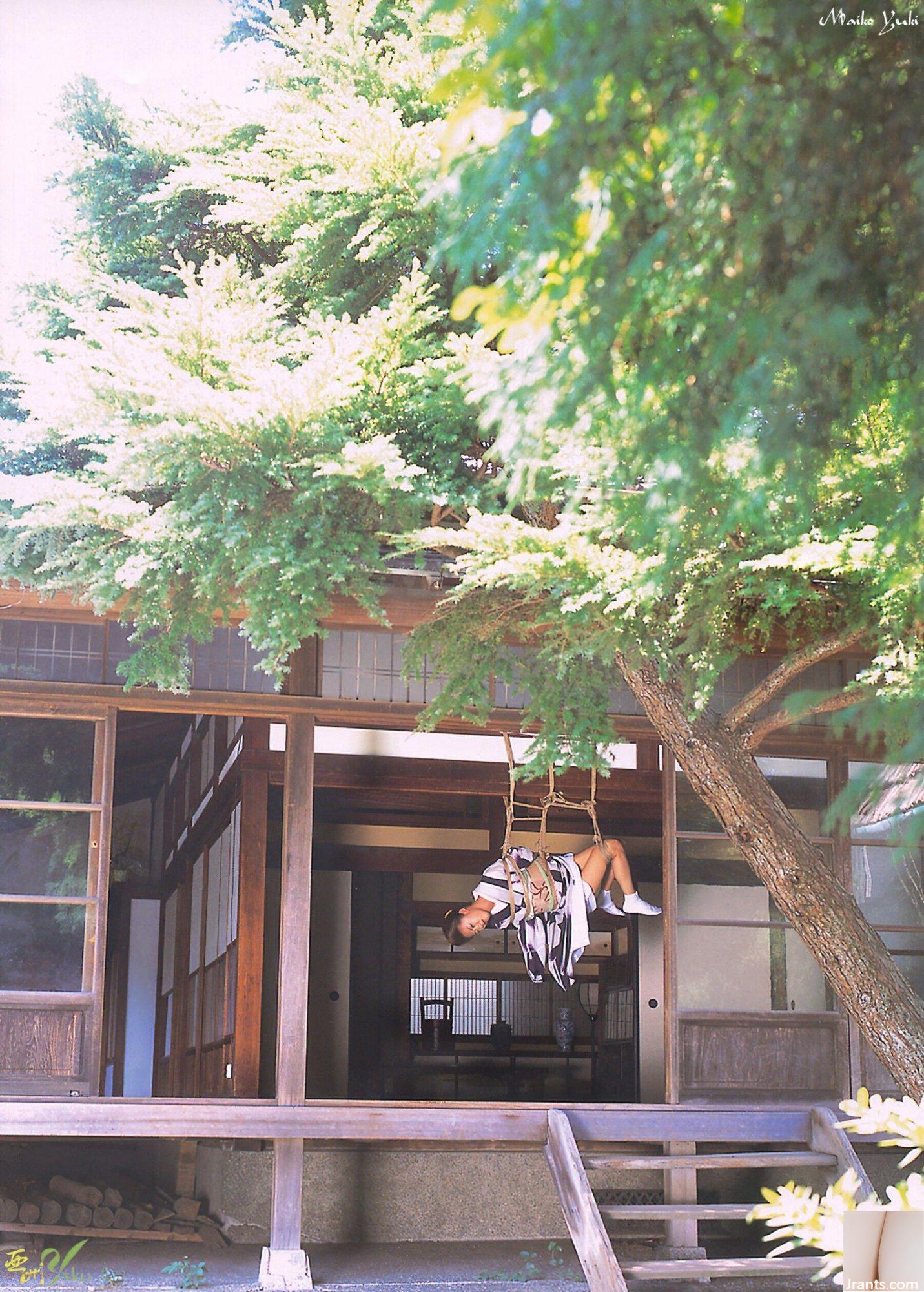 Yuki Maiko (Ảnh) “Album ảnh trói buộc chặt chẽ·縄爱” (Nhà xuất bản Sanwa) (117P) - Ảnh 35