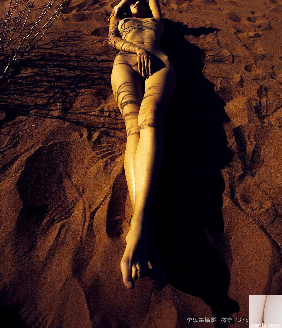 Bộ sưu tập riêng Amor Venustas Phần 2 48P (48P) - Ảnh 14