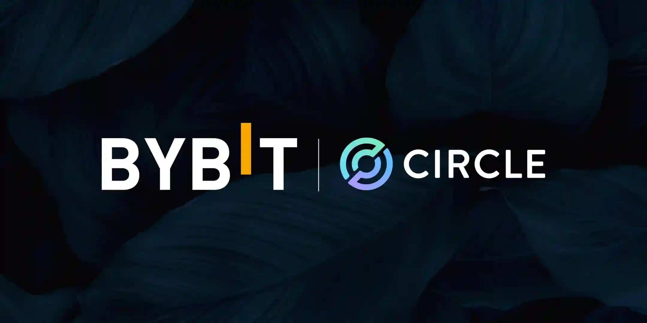 Bybit bắt tay Circle đẩy mạnh ứng dụng USDC trên toàn hệ sinh thái