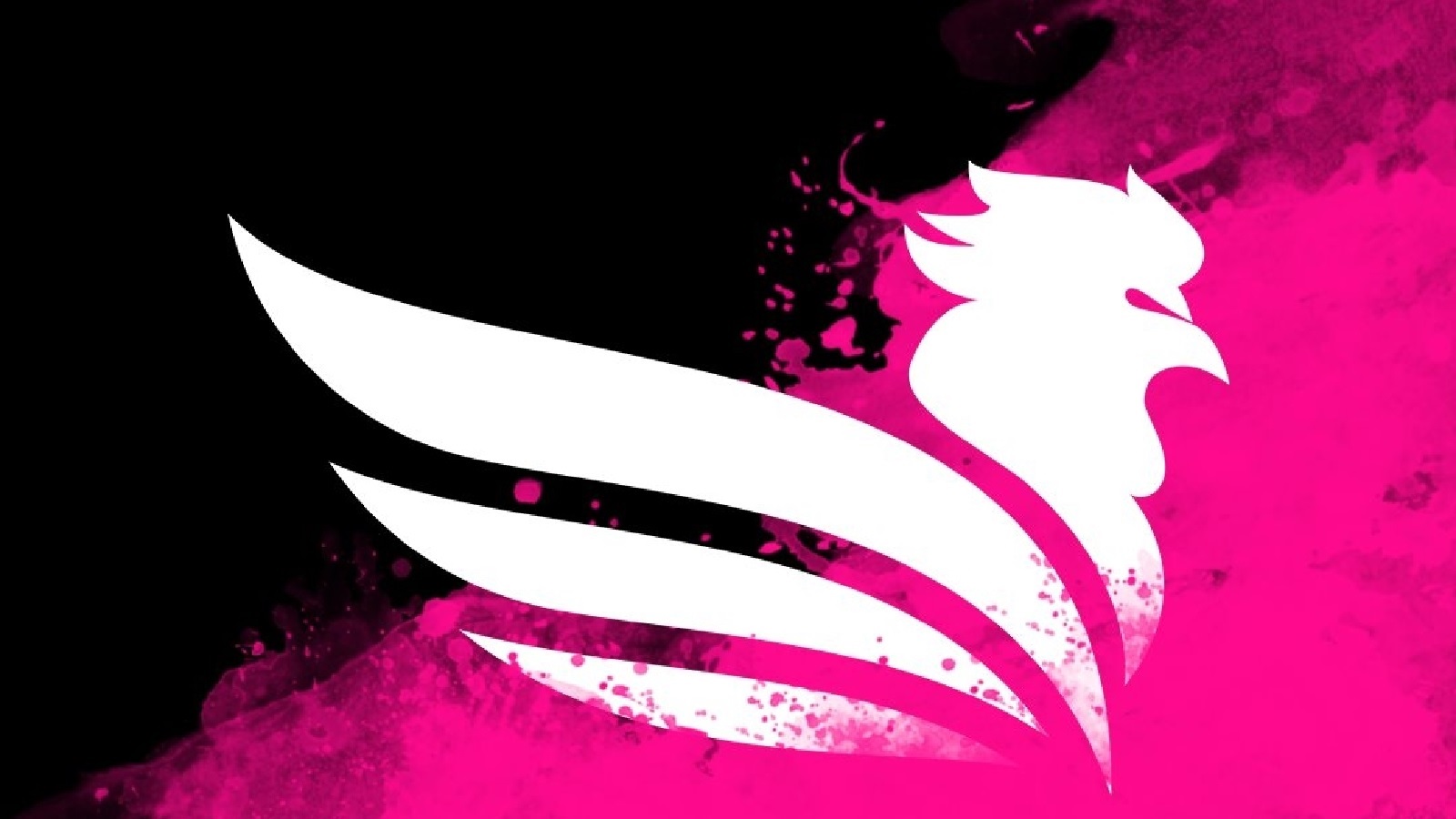 SE luôn sẵn sàng đầu tư để tìm kiếm danh hiệu đầu tiên của đội tuyển này tại VCS