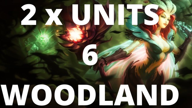 Bản 10.2 ra đúng dịp đầu Xuân, kỳ thủ Đấu Trường Chân Lý phải làm gì để khai cờ đầu năm thuận lợi? - Ảnh 2.