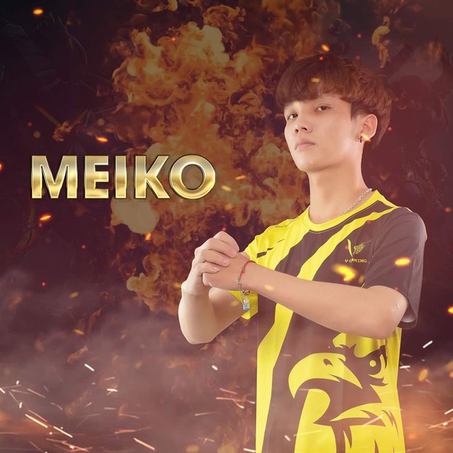 Chàng trai con nhà người ta VGM MeiKo: Học giỏi, đẹp trai, sở hữu 15 HCV Taekwondo, Đương kim vô địch Free Fire Việt Nam - Ảnh 1.
