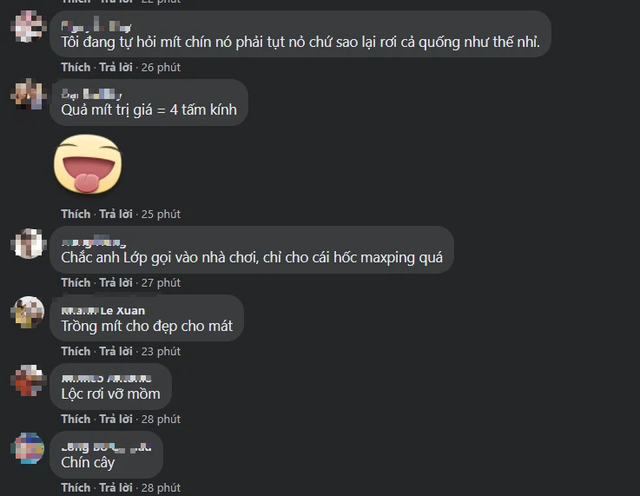 Lộc trời cho, các fan chia buồn với Chim Sẻ Đi Nắng khi xế hộp của thần đồng AoE bị mít rơi vỡ kính - Ảnh 4. Lộc trời cho, các fan chia buồn với Chim Sẻ Đi Nắng khi xế hộp của thần đồng AoE bị mít rơi vỡ kính - Ảnh 4.