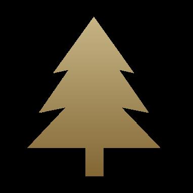 Đấu Trường Chân Lý: Trái với mong đợi, đội hình 6 Rừng và 6 Hộ Vệ vẫn đang tỏ ra khá... vô dụng - Ảnh 2.