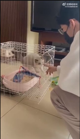 TheShy lại gây sốt khi cầm Akshan Đường trên bán hành cho Thách Đấu Hàn, bài tủ của WBG là đây? - Ảnh 3.