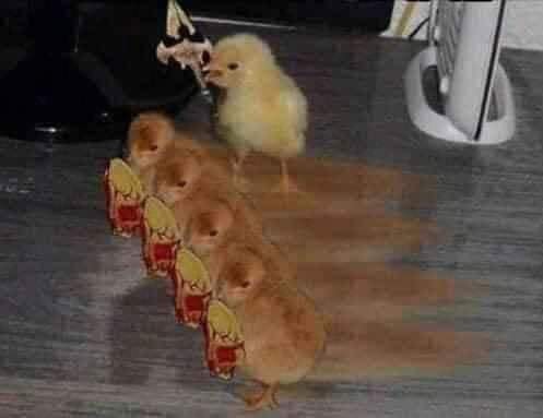 Bdd ôm hận nhìn TF của Faker tả xung hữu đột khắp nhà: Này thì dám múa Azir trước mặt anh! - Ảnh 10. Bdd ôm hận nhìn TF của Faker tả xung hữu đột khắp nhà: Này thì dám múa Azir trước mặt anh! - Ảnh 10.