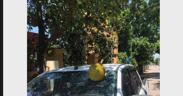 "Lộc trời cho", các fan chia buồn với Chim Sẻ Đi Nắng khi xế hộp của thần đồng AoE bị mít rơi vỡ kính