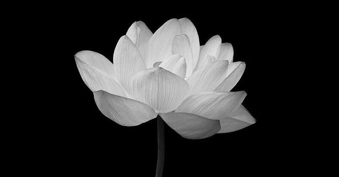 Ngày này năm xưa: Câu chuyện buồn của LMHT Việt